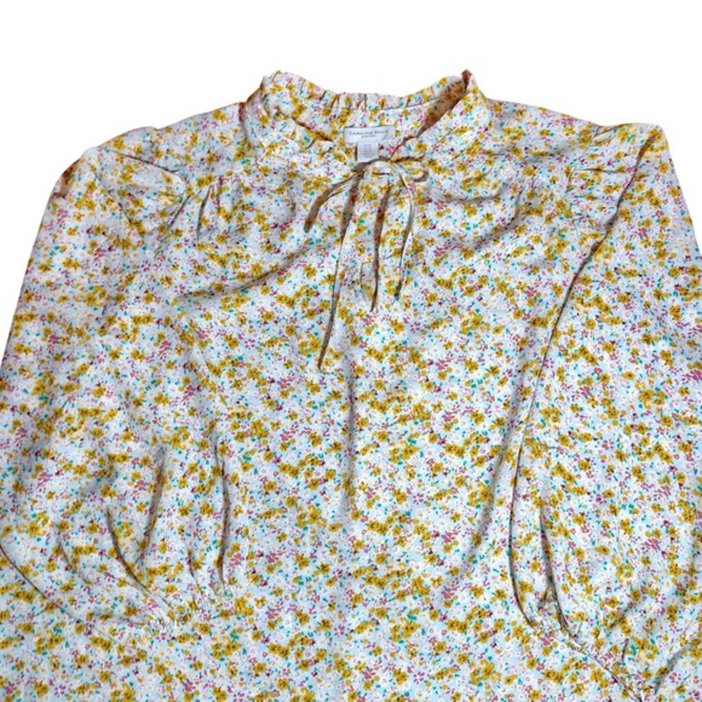 Carolina Belle Floral Print Long Sleeve Blouse Ruffle Neck Tie‎ peasant  Size 1X